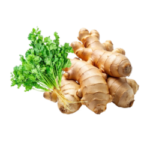 Roots, Herbs & Others